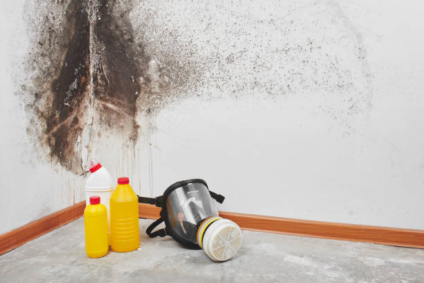 Best Residential Mold Removal  in Preakness, NJ
