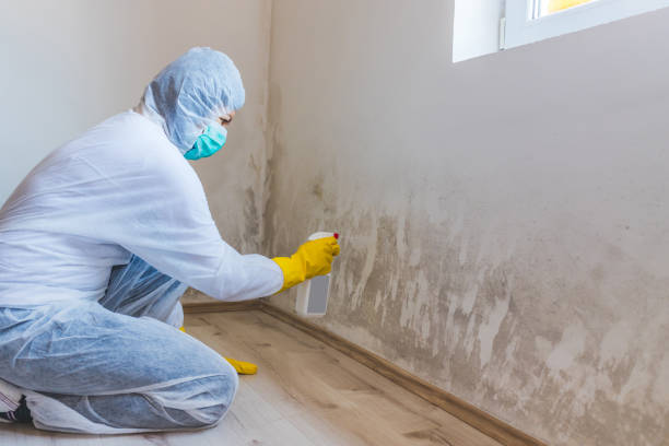 Crawl Space Mold Removal in Preakness, NJ