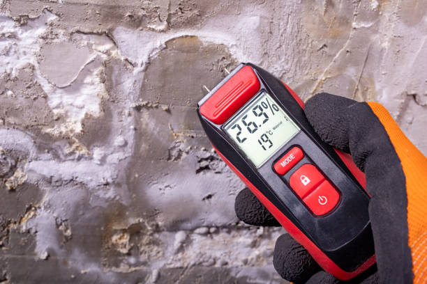 Best Mold Testing  in Preakness, NJ