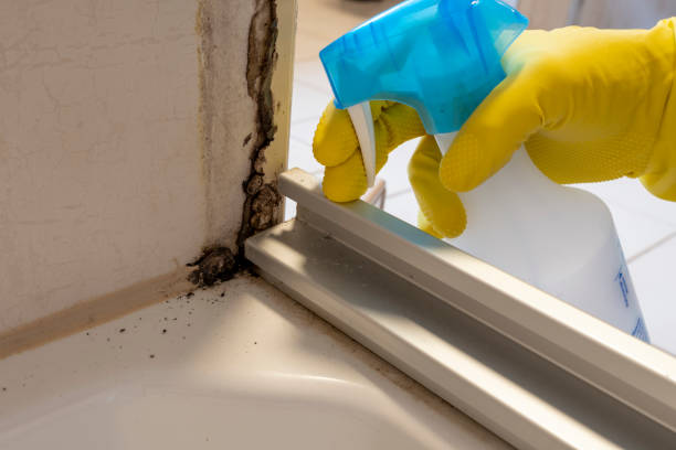 Best Mold Damage Repair  in Preakness, NJ