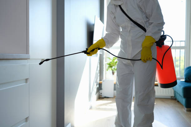 Best Fast Mold Removal  in Preakness, NJ