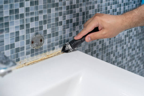 Office Mold Removal Services in Preakness, NJ