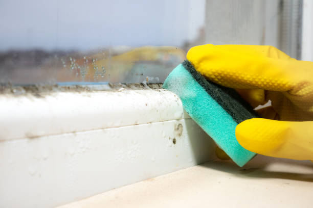 Best Certified Mold Removal  in Preakness, NJ
